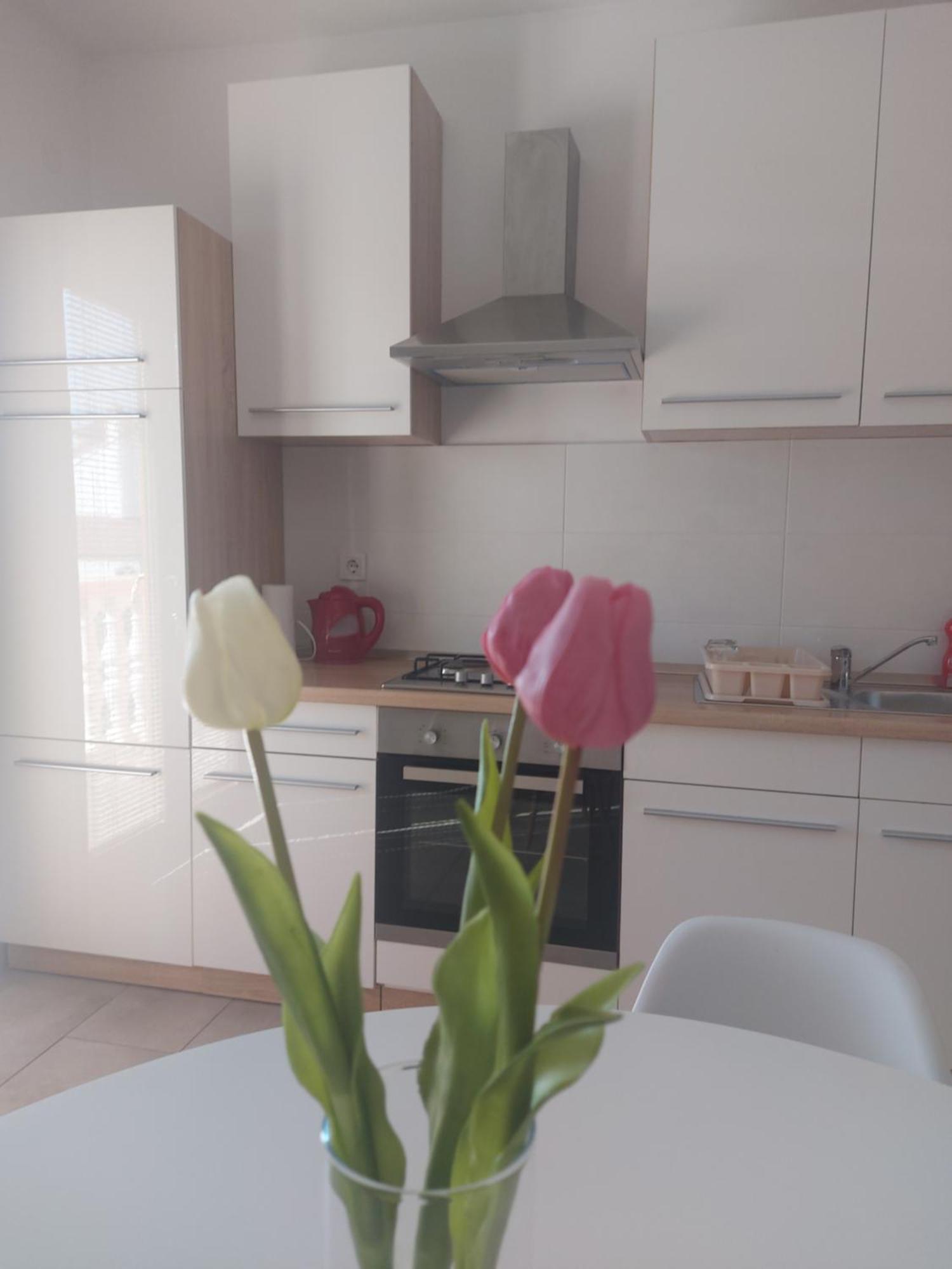 Apartment Ante And Dijana Starigrad Paklenica Zewnętrze zdjęcie
