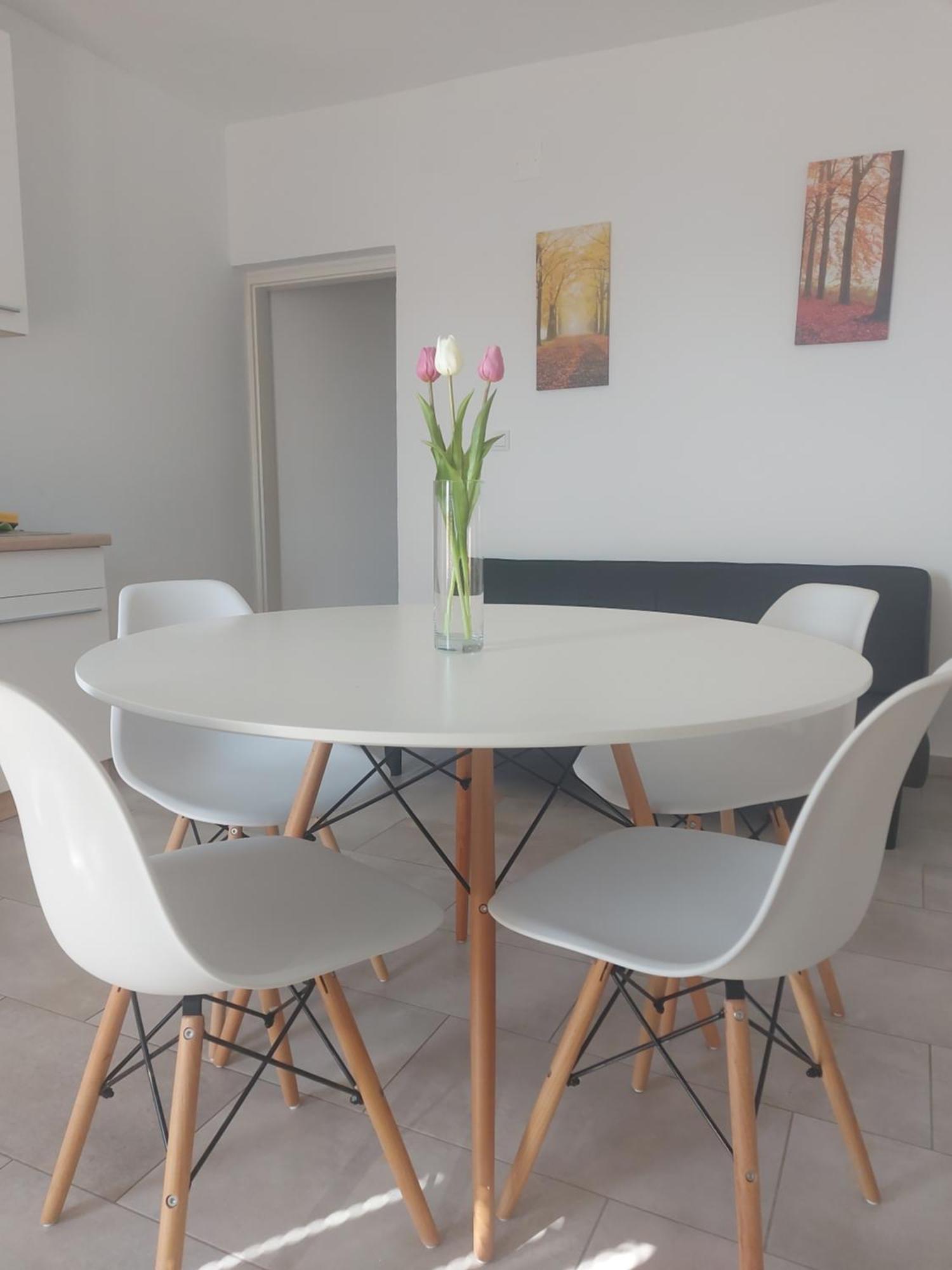 Apartment Ante And Dijana Starigrad Paklenica Zewnętrze zdjęcie