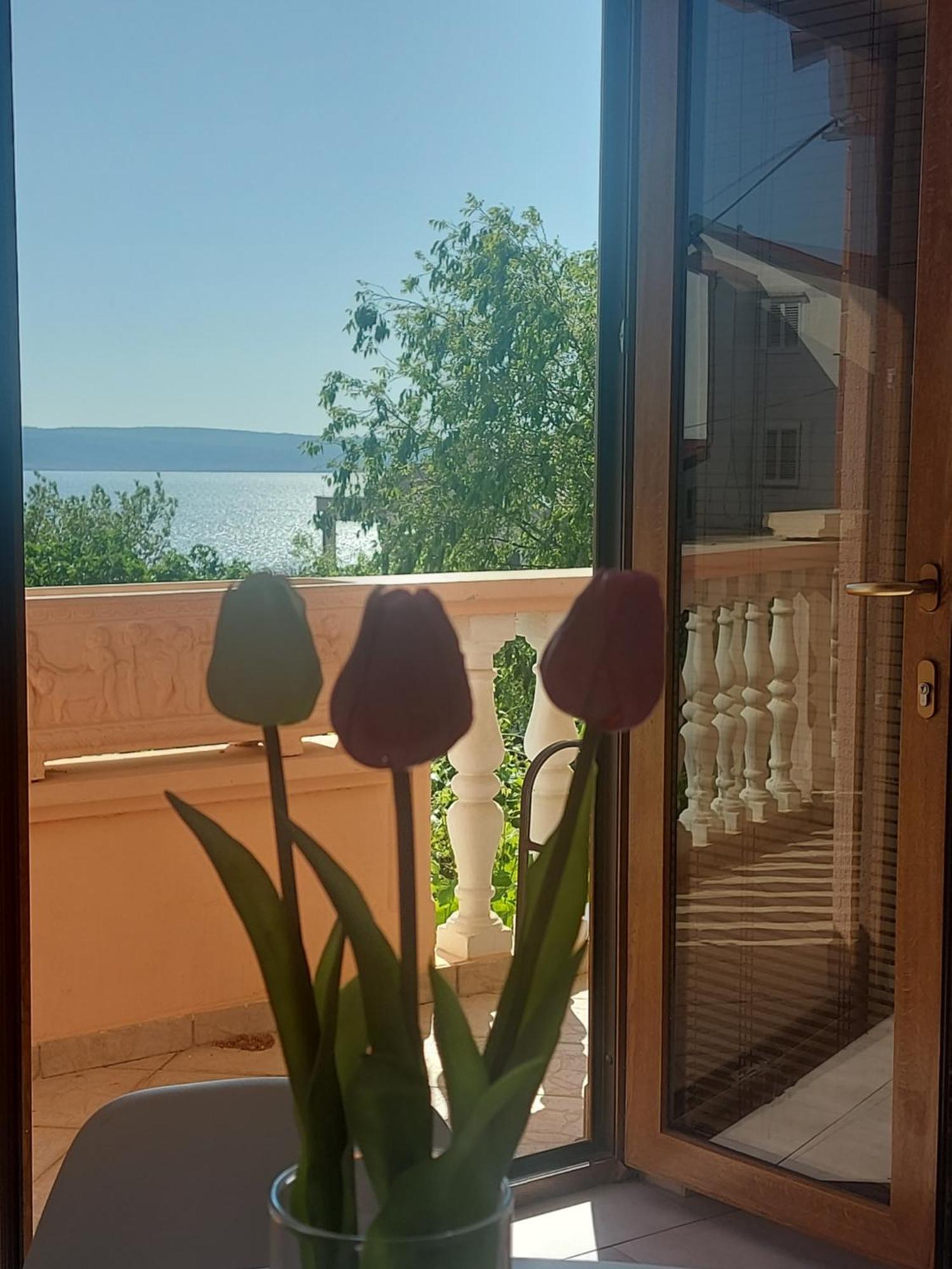 Apartment Ante And Dijana Starigrad Paklenica Zewnętrze zdjęcie