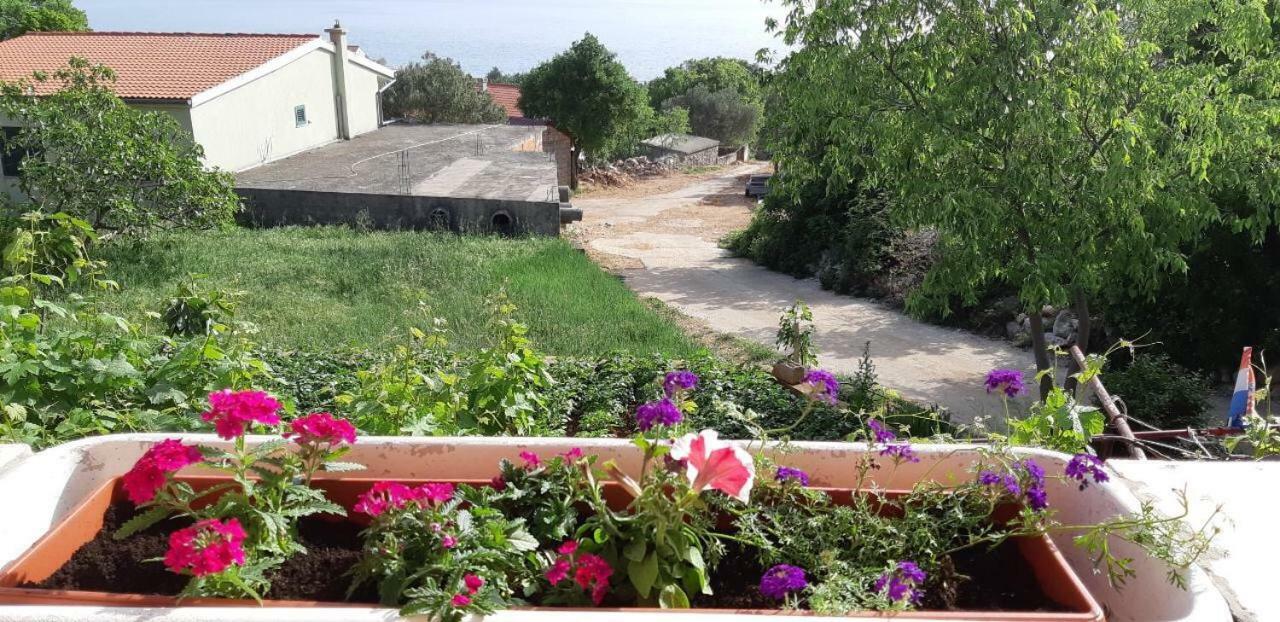 Apartment Ante And Dijana Starigrad Paklenica Zewnętrze zdjęcie