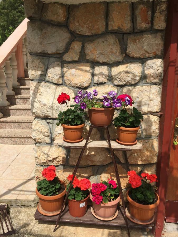 Apartment Ante And Dijana Starigrad Paklenica Zewnętrze zdjęcie